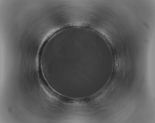 X0000113260678200909241523