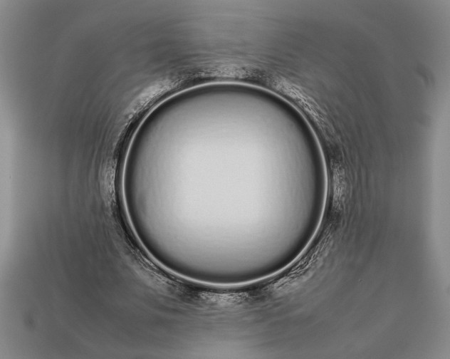 X0000113260679200909241523