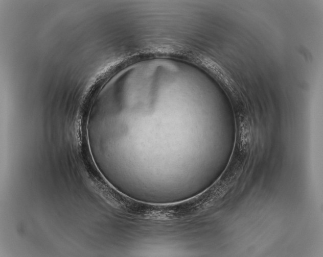 X0000113260680200909241523