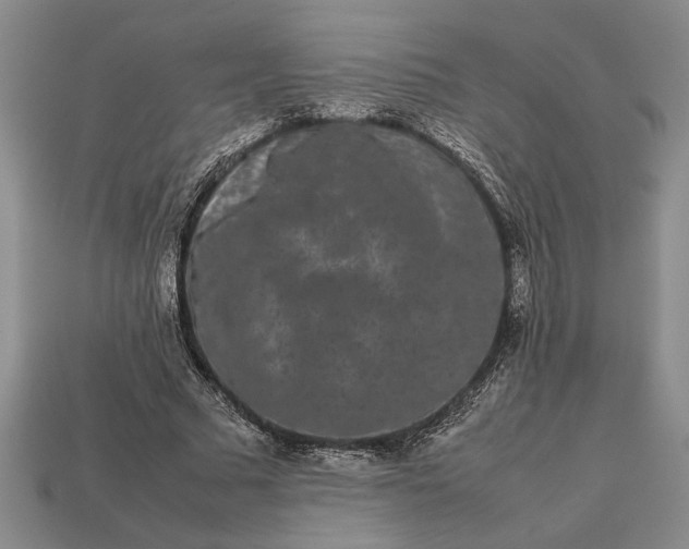 X0000113260681200909241523