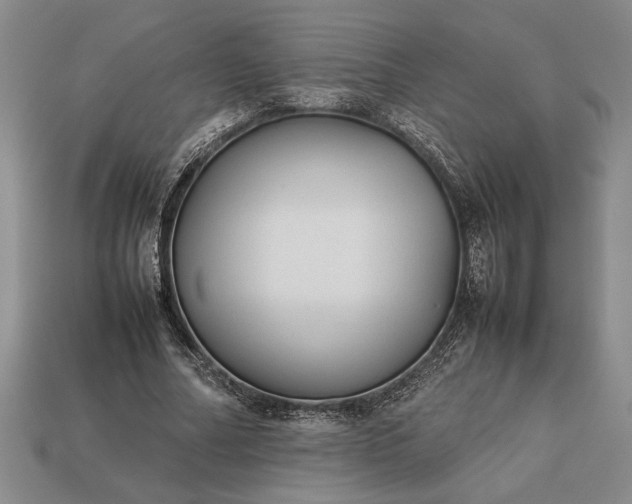 X0000113260682200909241522