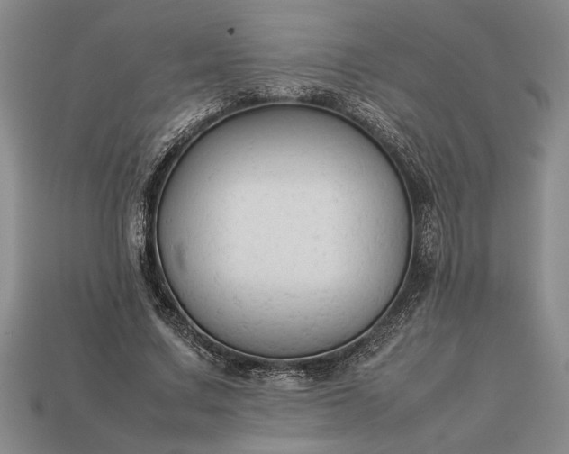 X0000113260683200909241522