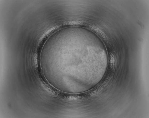 X0000113260684200909241522