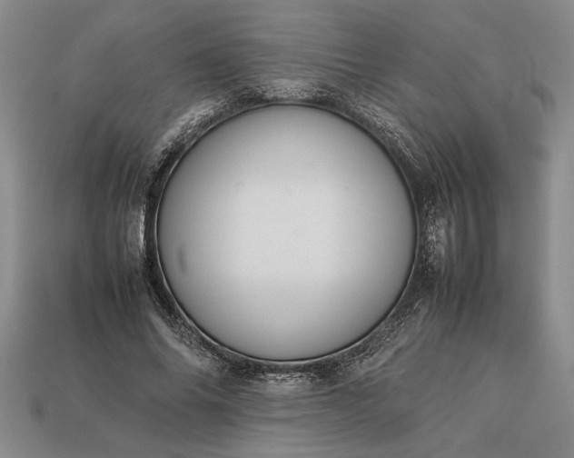 X0000113260686200909241522