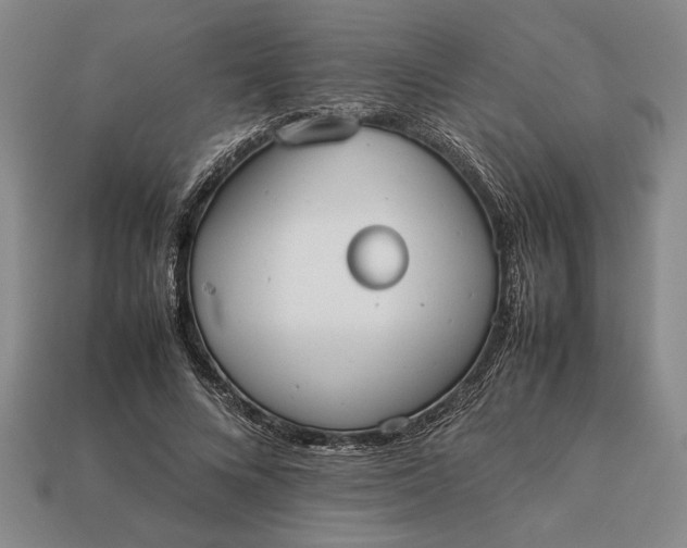 X0000113260688200909241522