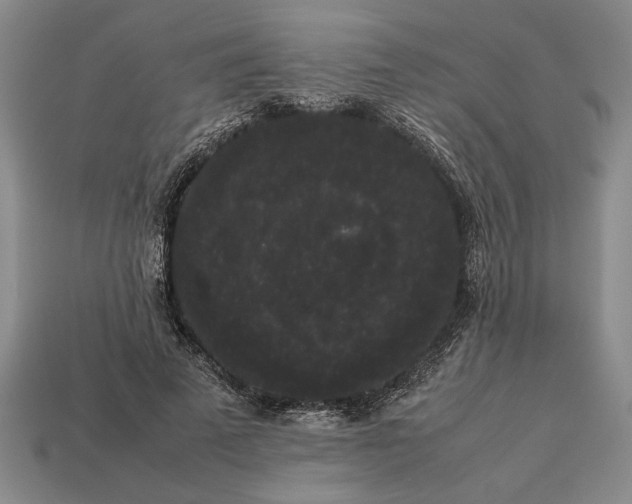 X0000113260689200909241522