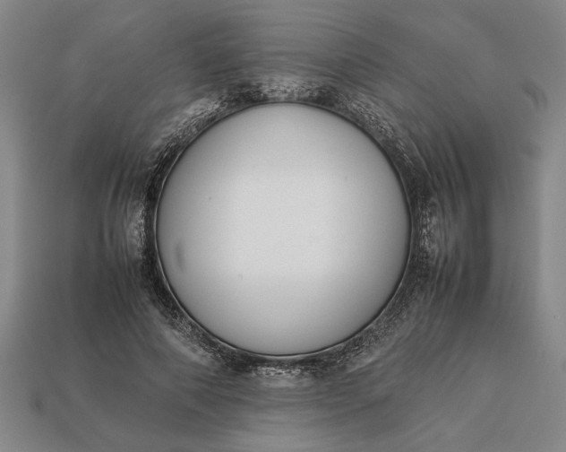 X0000113260690200909241522