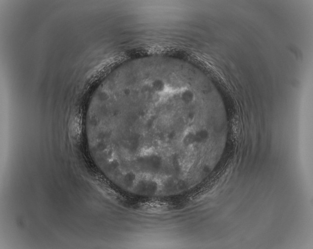 X0000113260691200909241522