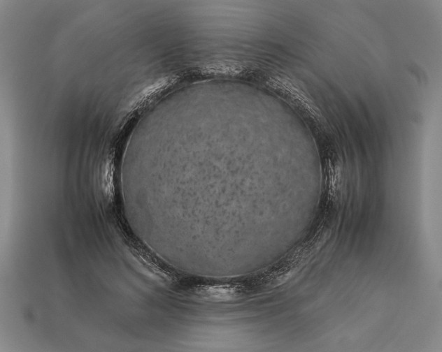 X0000113260692200909241522