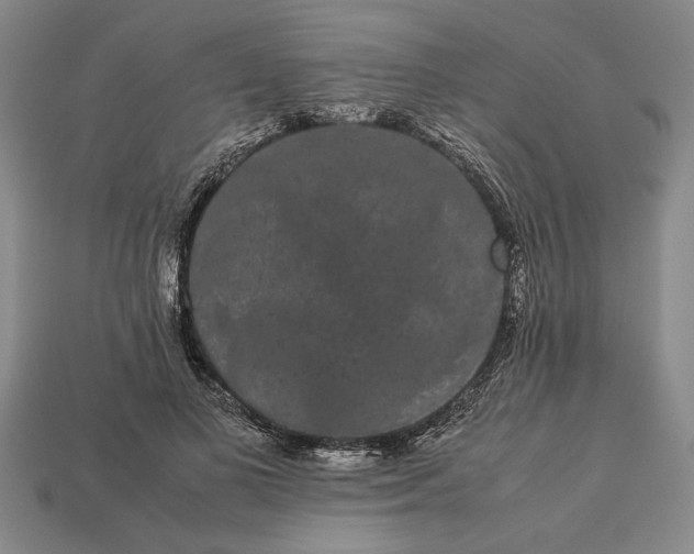 X0000113260693200909241522