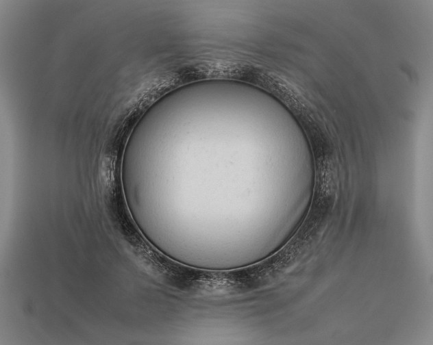 X0000113260695200909241522