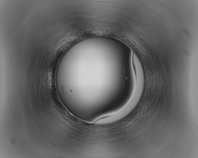 X0000113260696200909241522