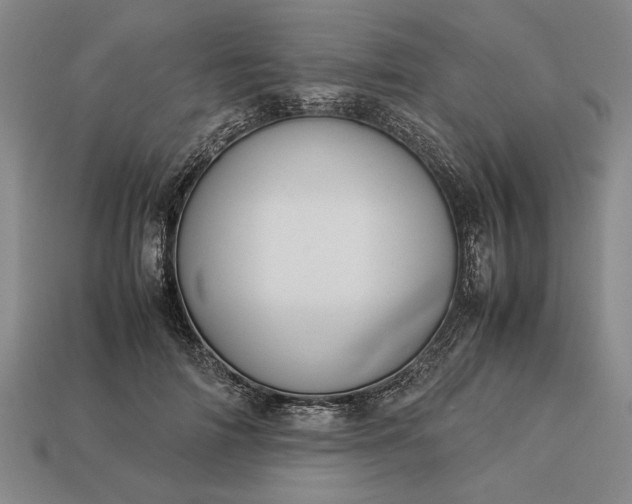 X0000113260698200909241522