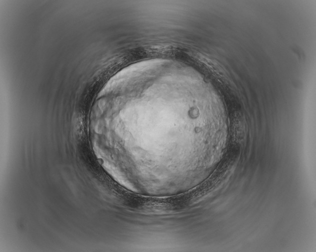 X0000113260699200909241522