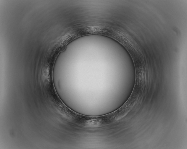 X0000113260700200909241522