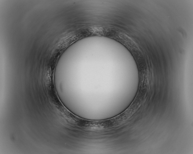 X0000113260702200909241522