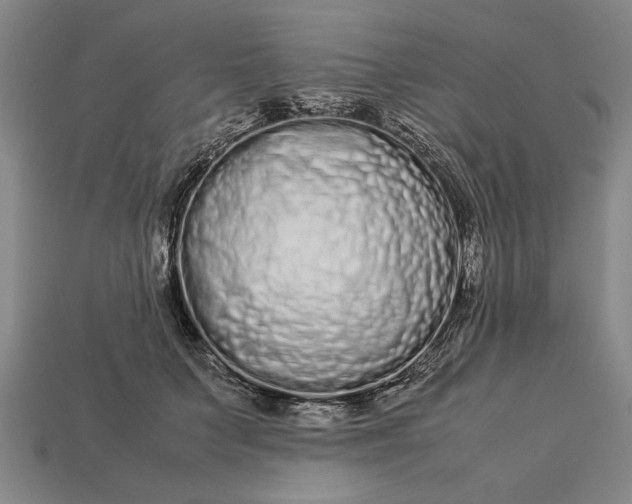 X0000113260703200909241522