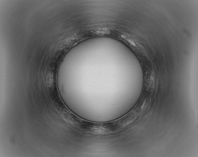 X0000113260704200909241522