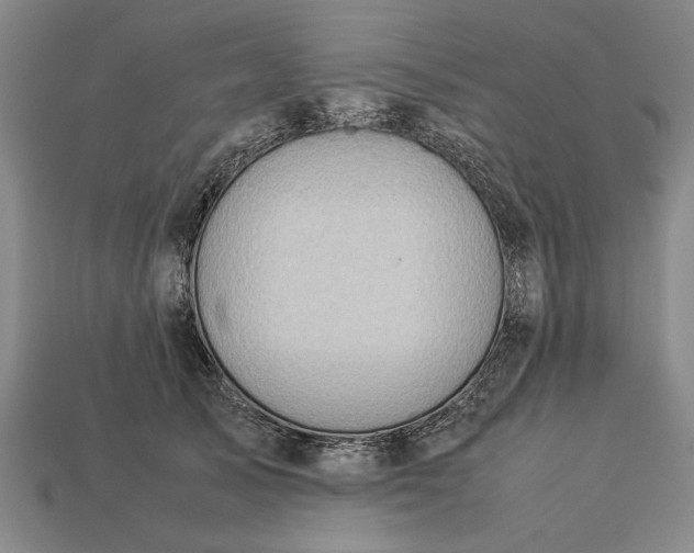 X0000113260705200909241522