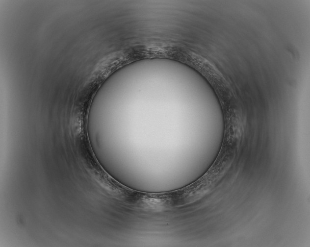 X0000113260706200909241522