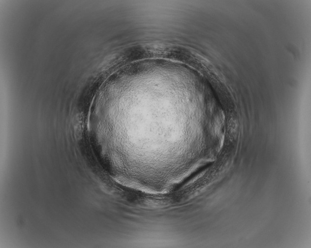 X0000113260707200909241522