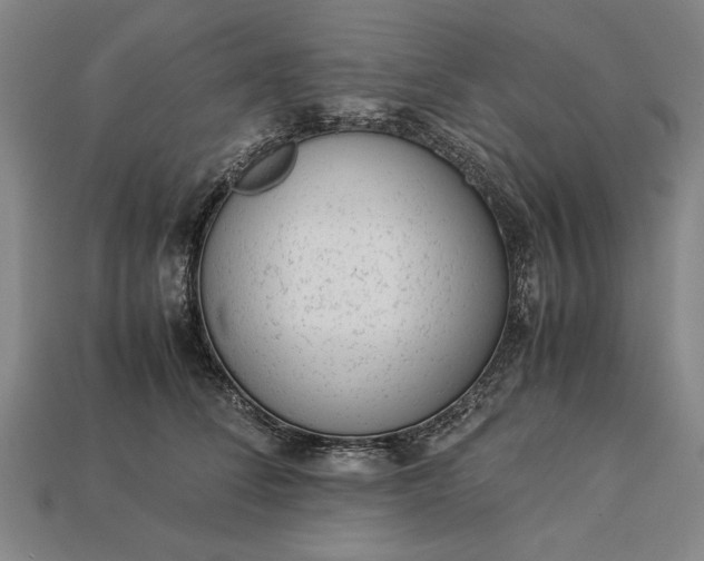 X0000113260708200909241522