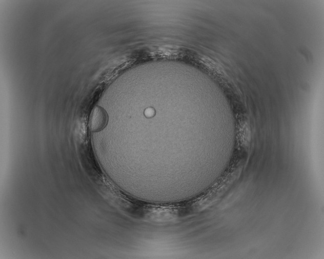 X0000113260709200909241522