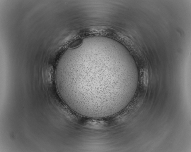 X0000113260712200909241522