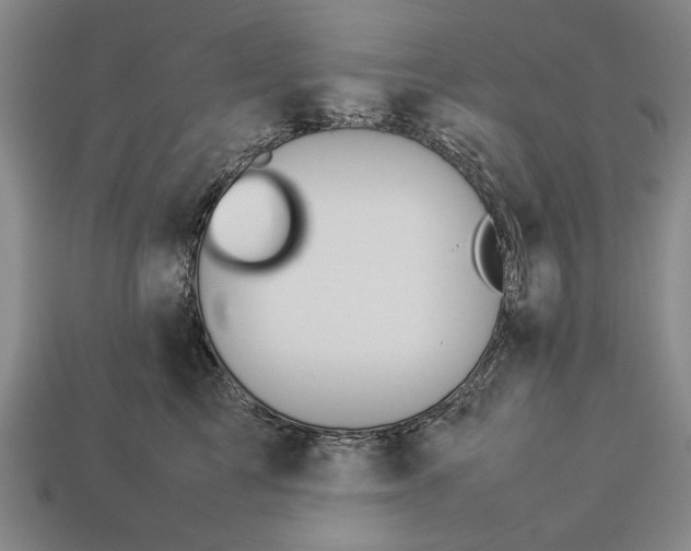 X0000113260713200909241522