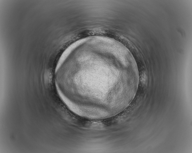 X0000113260715200909241522