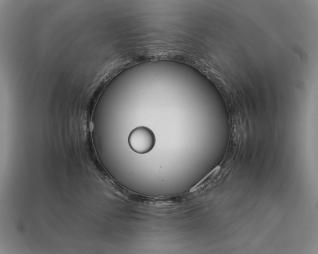 X0000113260716200909241522