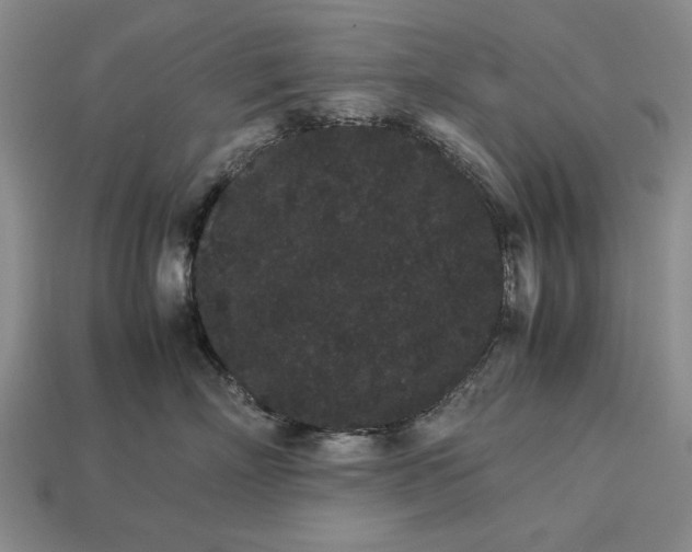 X0000113260718200909241522