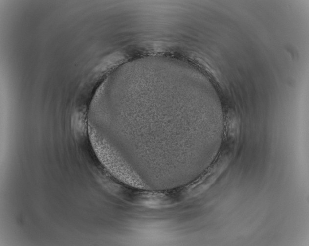 X0000113260719200909241522