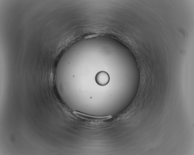 X0000113260720200909241522