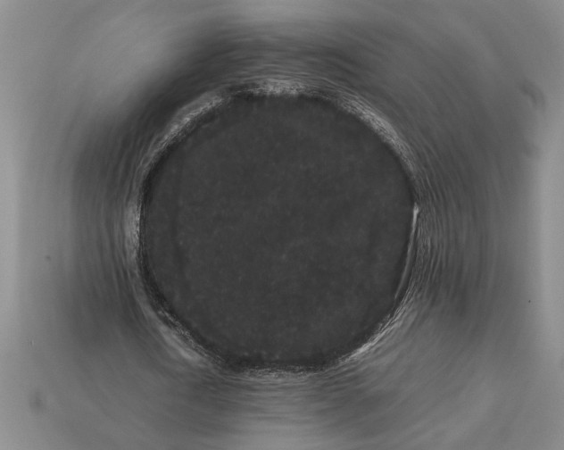 X0000113260722200909241521