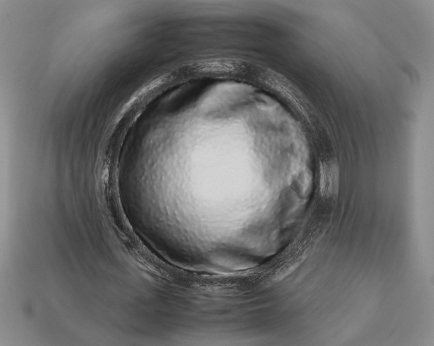 X0000113260723200909241521