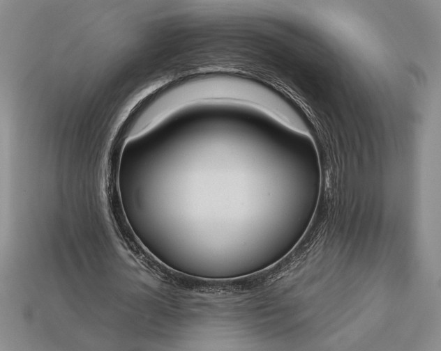 X0000113260724200909241521