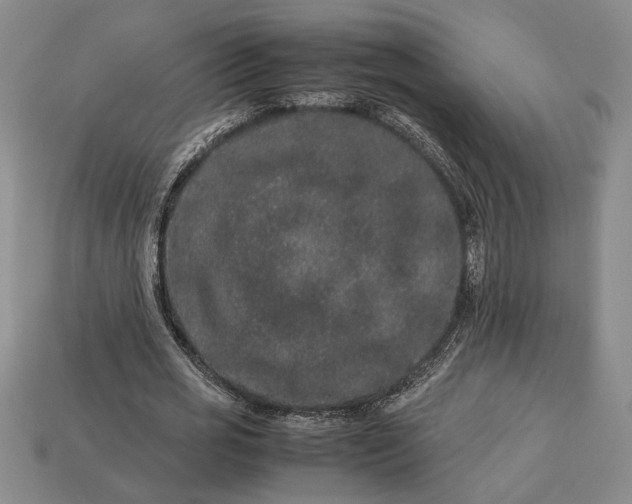 X0000113260725200909241521