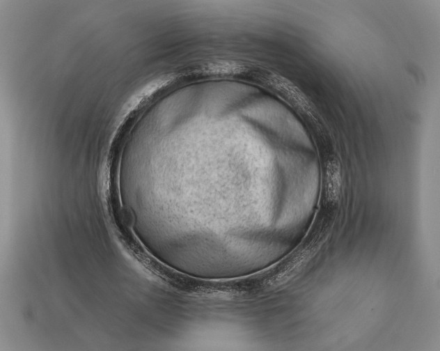 X0000113260726200909241521