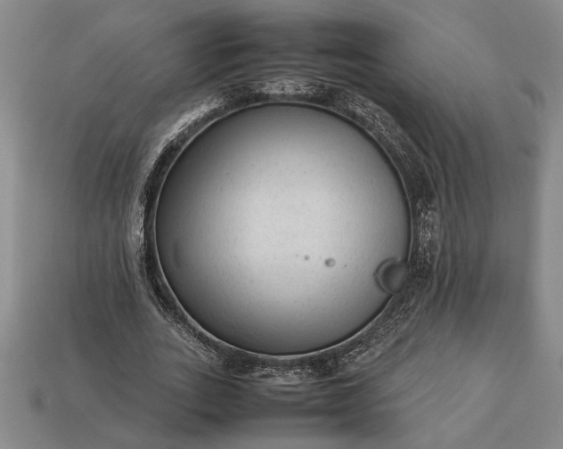 X0000113260727200909241521