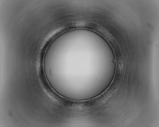 X0000113260728200909241521