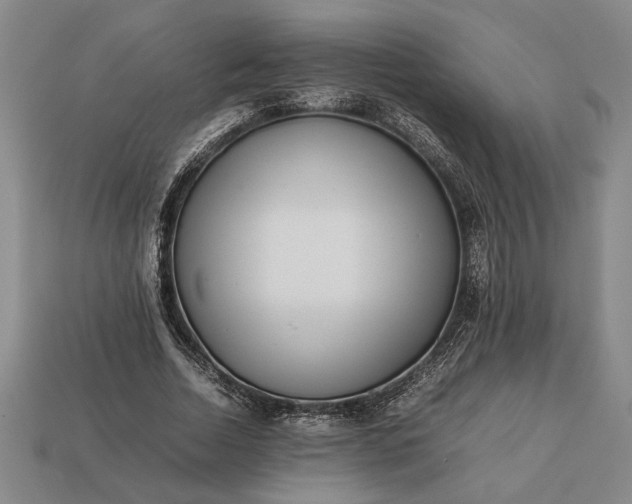 X0000113260730200909241522