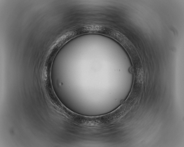 X0000113260731200909241522