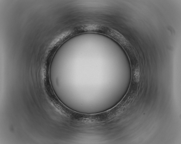 X0000113260732200909241522