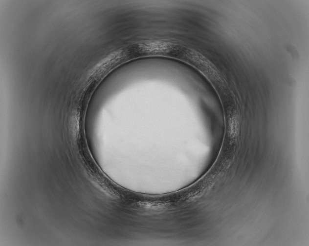 X0000113260733200909241522