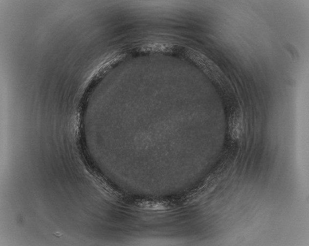 X0000113260735200909241522