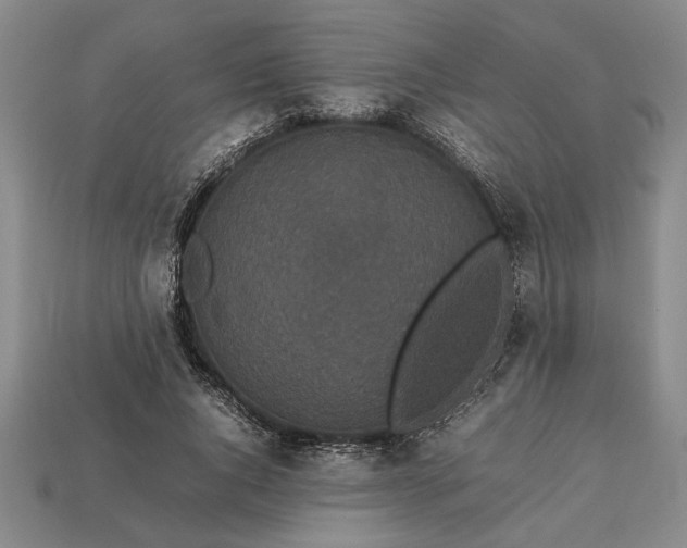 X0000113260736200909241522