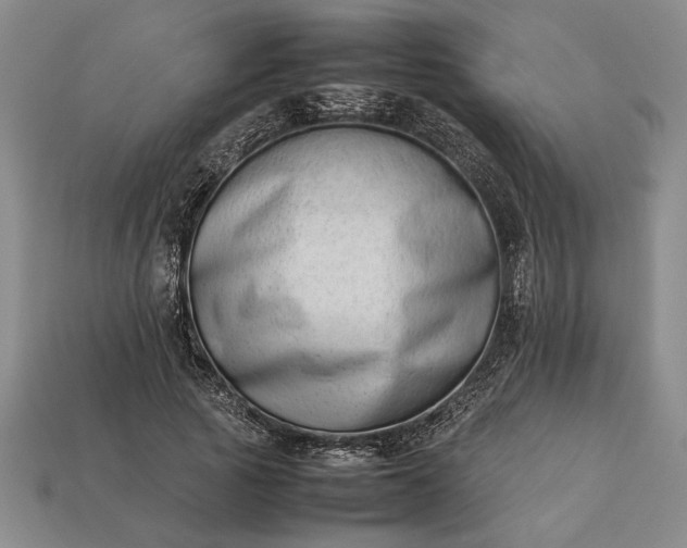 X0000113260737200909241522