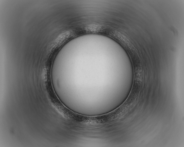 X0000113260738200909241522