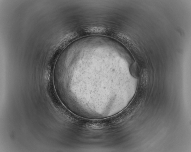 X0000113260739200909241522